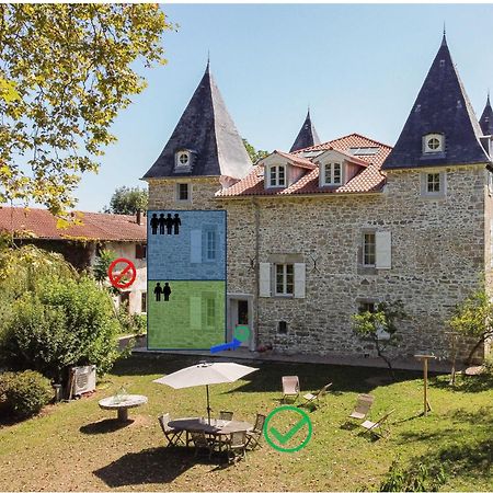 Chateau De Souhy Urcuit エクステリア 写真