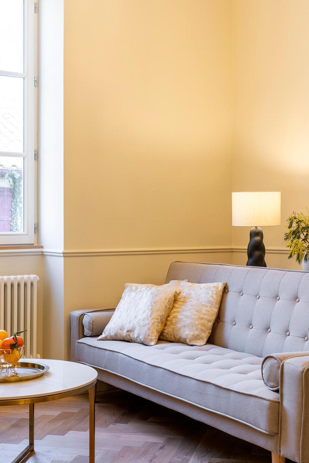 Chateau De Souhy Urcuit 部屋 写真